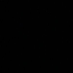 Meet your Posher, Randy